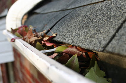 Close-up of gutter debris and shingle grit needing professional cleaning