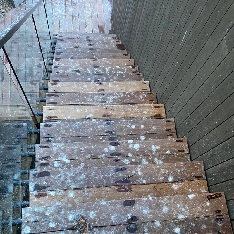 Surface before cleaning in Parry Sound